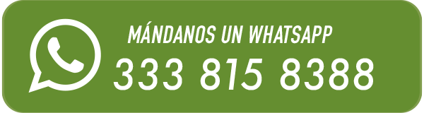 WhatsApp Selladores QR